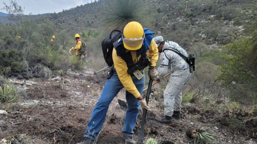 Incendio Nuevo León - Especies Políticas