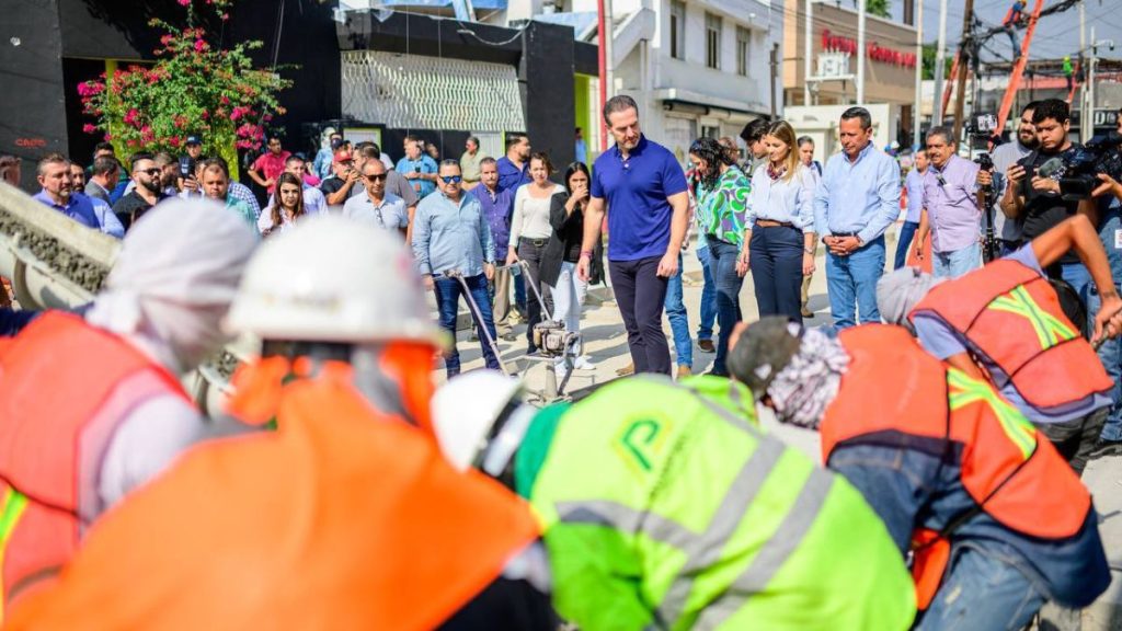 Zona Tec Limpia De Cableado - Especies Políticas