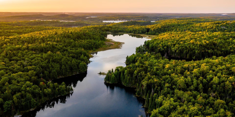 Inegi - Especies Políticas