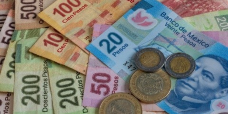 Peso - Especies Políticas