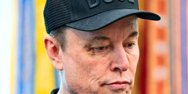 Elon Musk - Especies Políticas