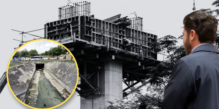 Línea 6 - Especies Políticas