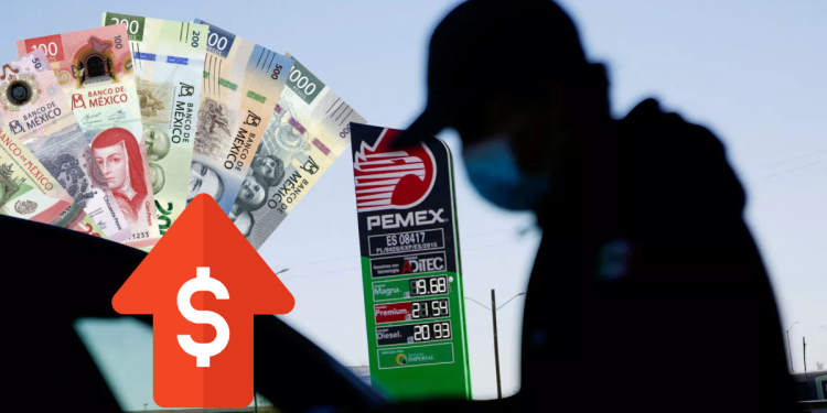 Nuevo León - Especies Políticas Nuevo León - Especies Políticas