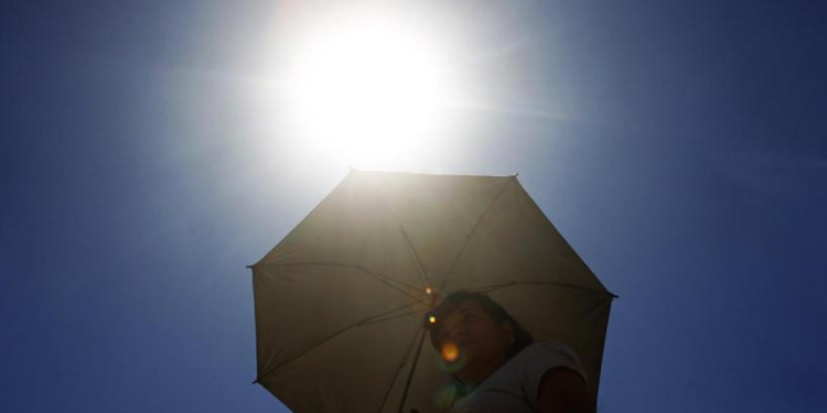 Calor En Monterrey - Especies Políticas