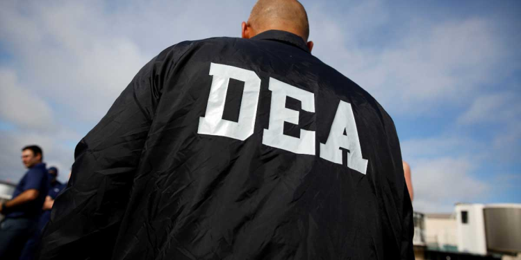 Dea - Especies Políticas