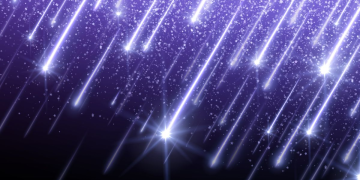 Lluvia De Estrellas En Monterrey - Especies Políticas