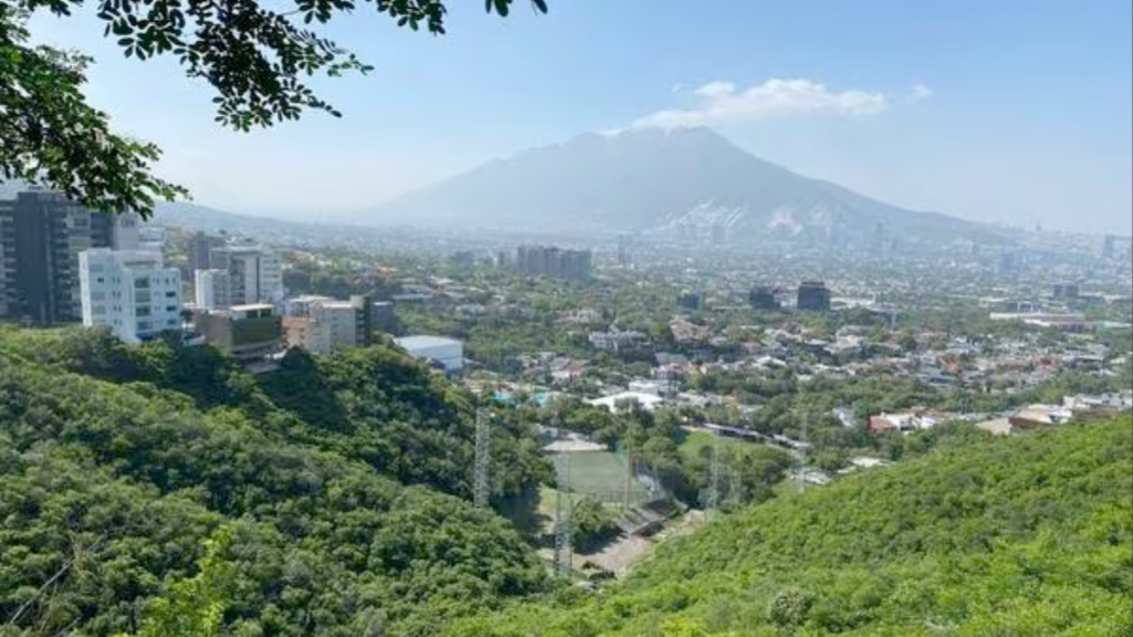 Megacasa De Samuel García - Especies Políticas Megacasa De Samuel García, San Pedro Garza, Lujo Político, Medio Ambiente, Permisos De Construcción