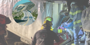  - Especies Políticas