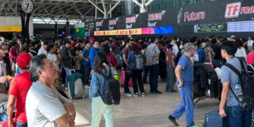 Central De Autobuses - Especies Políticas