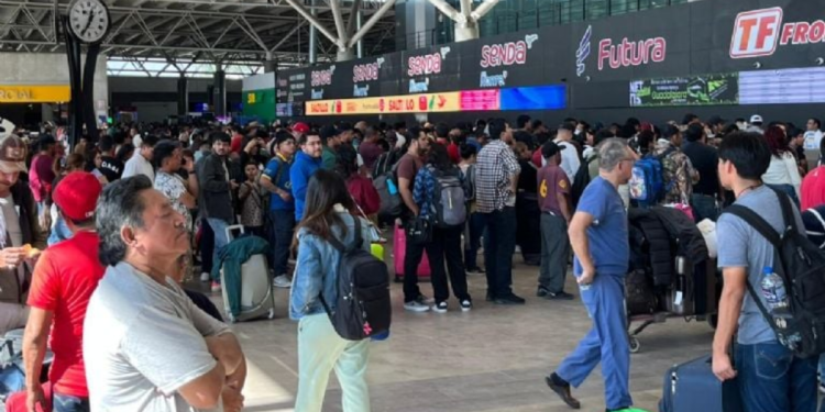 Central De Autobuses - Especies Políticas