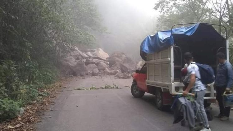 Image - Especies Políticas - Especies Políticas