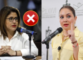 _sandra Pámanes Es Denunciada Debido a Que Está Llamando a La Ciudadania a Desobedecer La Ley Especies Políticas - Especies Políticas