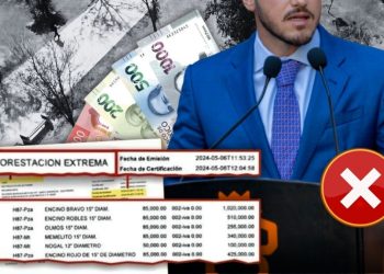 REFORESTACIÓN-EXTREMA-SAMUEL-GARCÍA-NUEVO-LEÓN