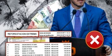 ReforestaciÓn-extrema-samuel-garcÍa-nuevo-leÓn - Especies Políticas