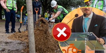 Especies Politicas Samuel Y Mariana Presumen Un Millón De Árboles Pero Los Números No Dan Reforestación Extrema Reportó Muchos Menos - Especies Políticas