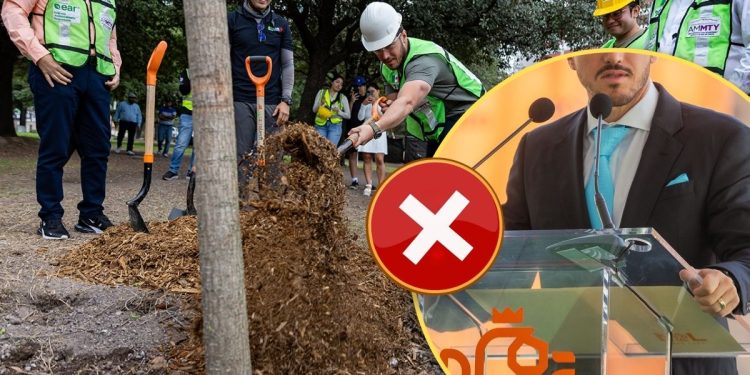 Especies Politicas Samuel Y Mariana Presumen Un Millón De Árboles Pero Los Números No Dan Reforestación Extrema Reportó Muchos Menos - Especies Políticas Especies Politicas Samuel Y Mariana Presumen Un Millón De Árboles Pero Los Números No Dan Reforestación Extrema Reportó Muchos Menos - Especies Políticas