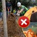 Especies Politicas Samuel Y Mariana Presumen Un Millón De Árboles Pero Los Números No Dan Reforestación Extrema Reportó Muchos Menos - Especies Políticas