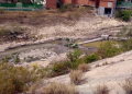 Ecocidio-samuel-garcía-río-santa-catarina-obras-del-metro - Especies Políticas