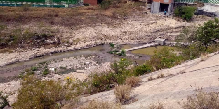 Ecocidio-samuel-garcía-río-santa-catarina-obras-del-metro - Especies Políticas