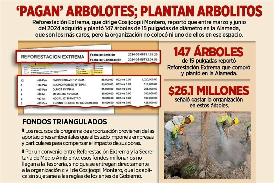 Image - Especies Políticas Millón-de-árboles-en-nuevo-león-samuel-garcía-reforestación-en-nuevo-león-árboles-plantados