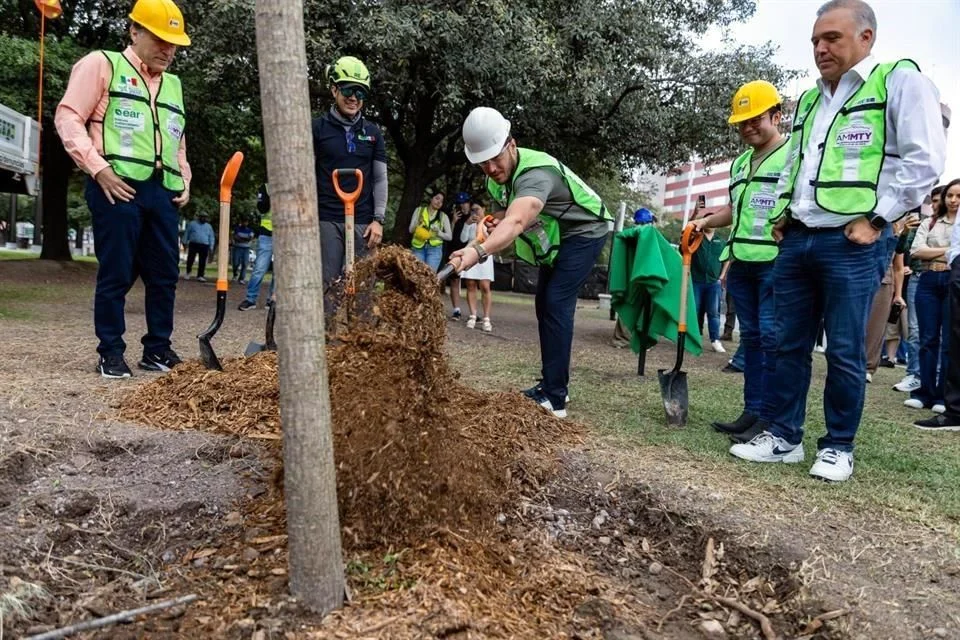Image - Especies Políticas Millón-de-árboles-en-nuevo-león-samuel-garcía-reforestación-en-nuevo-león-árboles-plantados