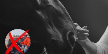 Cabalgata Desata Quejas - Especies Políticas