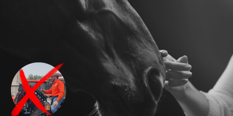 Cabalgata-desata-quejas - Especies Políticas Cabalgata Desata Quejas - Especies Políticas
