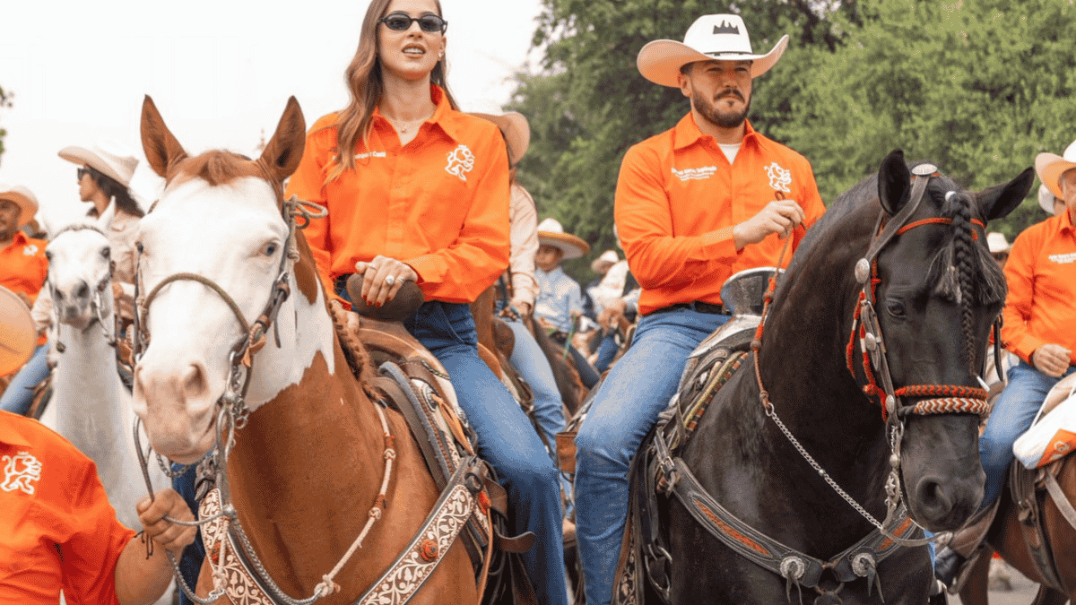 Maltrato-de-caballos-en-nuevo-leon - Especies Políticas Caballo Maltratado. Maltrato De Caballos En Nuevo León - Especies Políticas