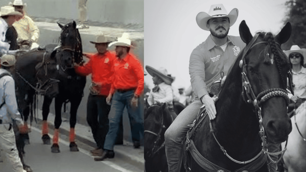Samuel-garcia-maltrato-un-caballo-en-el-desfile - Especies Políticas Samuel García Maltrató Un Caballo En El Desfile - Especies Políticas