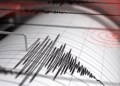 Reportan Sismo De 57 En Chiapas - Especies Políticas