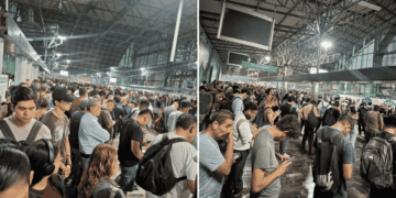Retraso En La Línea 1 - Especies Políticas