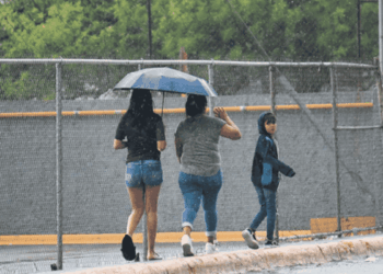 Chubascos y vientos en Nuevo León - Especies Políticas