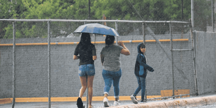 Chubascos Y Vientos En Nuevo León - Especies Políticas - Especies Políticas