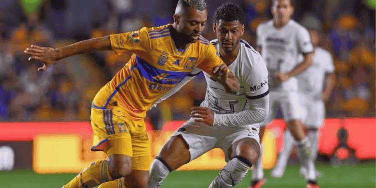 Pumas Unam Vs Tigres Uanl - Especies Políticas - Especies Políticas