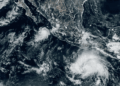 Tormenta Tropical Trudy - Especies Políticas - Especies Políticas