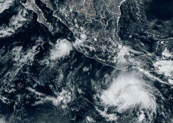 tormenta tropical Trudy - Especies políticas