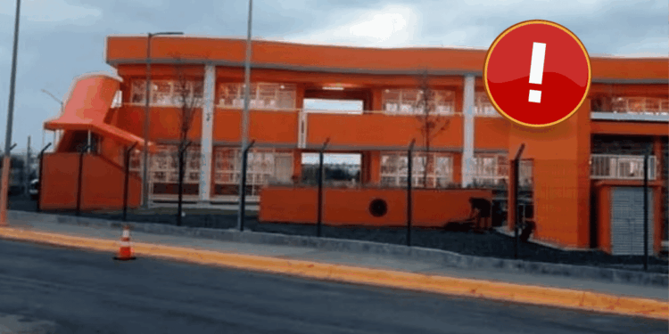 Verde Aqua Por Naranja En Escuelas Públicas - Especies Políticas - Especies Políticas